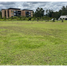 Terrain à vendre à Rionegro, Antioquia, Rionegro