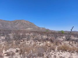  Terrain for sale in Coahuila, Ramos Arizpe, Coahuila