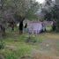  House for sale in Paine, Maipo, Paine