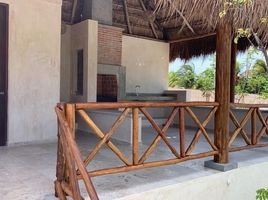 3 Schlafzimmer Haus zu verkaufen in Chicxulub Pueblo, Yucatan, Chicxulub Pueblo