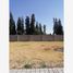  토지을(를) San Jeronimo Tecuanipan, 푸에블라에서 판매합니다., San Jeronimo Tecuanipan