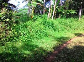  Land for sale in Penebel, Tabanan, Penebel