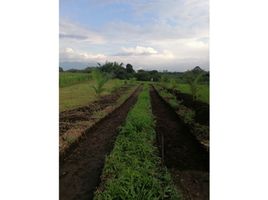  Terreno (Parcela) en venta en Montenegro, Quindio, Montenegro