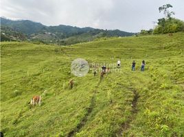  Terreno (Parcela) en venta en Dosquebradas, Risaralda, Dosquebradas