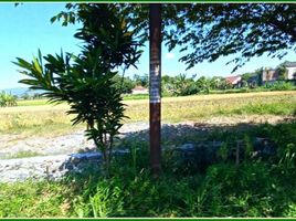  Land for sale in Prambanan, Klaten, Prambanan