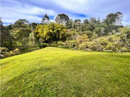  Terreno (Parcela) en venta en El Carmen De Viboral, Antioquia, El Carmen De Viboral