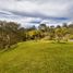  Terreno (Parcela) en venta en El Carmen De Viboral, Antioquia, El Carmen De Viboral