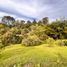  Terreno (Parcela) en venta en El Carmen De Viboral, Antioquia, El Carmen De Viboral