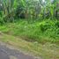  Land for sale in Kerambitan, Tabanan, Kerambitan