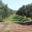 1 Bedroom Villa for sale in Chui, Rio Grande do Sul, Chui, Chui