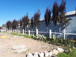  Grundstück zu verkaufen in Pachuca De Soto, Hidalgo, Pachuca De Soto