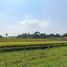  Land for sale in Ciampea, Bogor, Ciampea