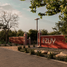  Land for sale in Seye, Yucatan, Seye