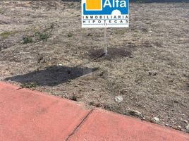  Grundstück zu verkaufen in Irapuato, Guanajuato, Irapuato