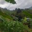  Grundstück zu verkaufen in Sibonga, Central Visayas, Sibonga
