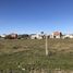  Land for sale in La Plata, Buenos Aires, La Plata