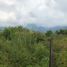  토지을(를) Tepoztlan, 모렐 로스에서 판매합니다., Tepoztlan