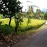  Land for sale in Kerambitan, Tabanan, Kerambitan