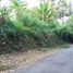  Land for sale in Kerambitan, Tabanan, Kerambitan