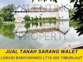 4 Bedroom House for sale in Banyuwangi, East Jawa, Banyuwangi, Banyuwangi