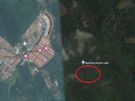  Terrain for sale in Bentong, Pahang, Bentong, Bentong