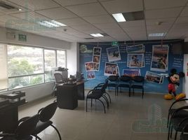 80 SqM Office for sale in Guayas, Guayaquil, Guayaquil, Guayas