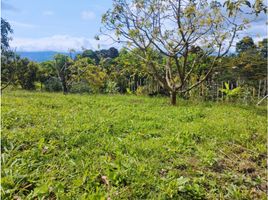  Terreno (Parcela) en venta en Dagua, Valle Del Cauca, Dagua