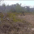 Grundstück zu verkaufen in Lazaro Cardenas, Quintana Roo, Lazaro Cardenas