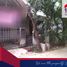 3 Kamar Rumah for sale in Cilincing, Jakarta Utara, Cilincing