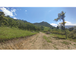  Land for sale in Girardota, Antioquia, Girardota