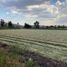  Land for sale in Alvaro Obregon, Michoacan, Alvaro Obregon