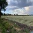  Land for sale in Alvaro Obregon, Michoacan, Alvaro Obregon