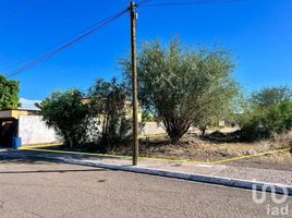  Land for sale in Comondu, Baja California Sur, Comondu