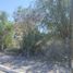  Land for sale in Comondu, Baja California Sur, Comondu