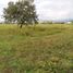  Land for sale in Garzon, Huila, Garzon