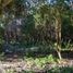  Land for sale in Cozumel, Quintana Roo, Cozumel