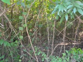  Land for sale in Cozumel, Quintana Roo, Cozumel