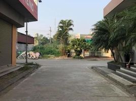  Land for sale in Tan Hong, Tu Son, Tan Hong