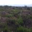 Land for sale in Soledad De Graciano Sanchez, San Luis Potosi, Soledad De Graciano Sanchez