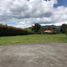 Terrain à vendre à Rionegro, Antioquia, Rionegro