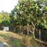  Terrain for sale in Thuan An, Binh Duong, Lai Thieu, Thuan An