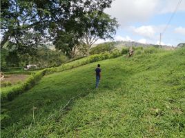  Terreno (Parcela) en venta en Manizales, Caldas, Manizales