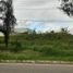  Land for rent in Tzimol, Chiapas, Tzimol, Chiapas