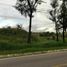 Land for rent in Tzimol, Chiapas, Tzimol, Chiapas