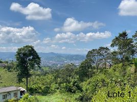  Land for sale in Dosquebradas, Risaralda, Dosquebradas