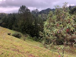 Terrain à vendre à Retiro, Antioquia, Retiro