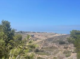  Grundstück zu verkaufen in Tecate, Baja California, Tecate