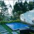 18 Schlafzimmer Haus zu verkaufen in Gianyar, Bali, Ubud, Gianyar, Bali