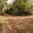  Land for sale in Motul, Yucatan, Motul