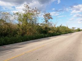  Grundstück zu verkaufen in Motul, Yucatan, Motul